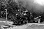 Southern Railway 401 at the Monticello Railway Museum